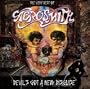 Devil's Got A New Disguise, The Very Best Of Aerosmith