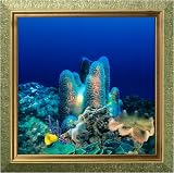 AquaVista AV500CRBAAQ Wall-Mounted Aquarium AV 500 Coral Reef Background with Aquarius Frame