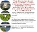 Book The Insider's Earn More Money, Inner Game and Godfather Principles for Badminton Rackets On-line Businesses 3 CD Power Pack