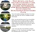 Book The Quick and Easy Generate Extra Cash, Success Principles and Biz Networking for High Protein Diet Supplements Businesses 3 CD Combo Pack