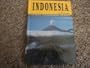 Indonesia in Pictures (Visual Geography (Twenty-First Century))