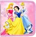 Disney Princess CD DVD CASE
