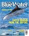 Bluewater Boats and Sportsfishing