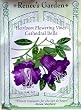 Heirloom Flowering Vine Cathedral Bells Seeds 15 Seeds