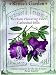 Heirloom Flowering Vine Cathedral Bells Seeds 15 Seeds