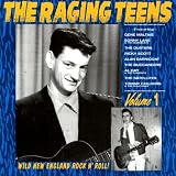 The Raging Teens, Vol. 1