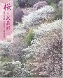 桜・武蔵野