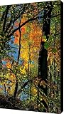 Fall fire works Canvas Print / Canvas Art - Artist Robert Pearson