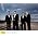 Thumbnail image of Emerson String Quartet