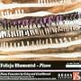 Piano Concertos by Grieg and Liszt/Busoni