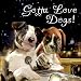 Gotta Love Dogs (Gotta Love . . . Books)