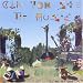 Music : Can You See The Music