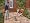 The Sims 2: Pets Expansion Pack (PC DVD)