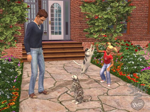 The Sims 2: Pets Expansion Pack (PC DVD)