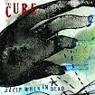 Sleep When I'm Dead (Mix 13)