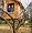 The Treehouse Book