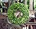 Flora Decor Preserved Boxwood Wreath Round 16
