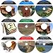 The Foremost 9 Audio CD No Money Down, Millionaire Making Real Estate Investing Course