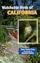 Watchable Birds of California