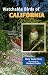 Watchable Birds of California (Watchable Bird Series)