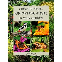 Creating Small Habitats for Wildlife in Your Garden