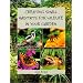 Creating Small Habitats for Wildlife in Your Garden