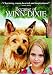 Because Of Winn-Dixie