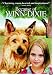 Because Of Winn-Dixie