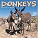  : Donkeys 2008 Wall Calendar