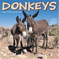 Donkeys 2008 Wall Calendar
