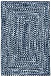 Agua Outdoor Area Rug by Capel Rugs - Toile Blue