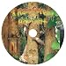 Search : A Rainforest Habitat (Introducing Habitats)