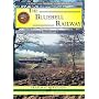 The Bluebell Railway: A Nostalgic Trip Along the Whole Route from East Grinstead to Lewes (Past & Present Companion)