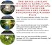 The Special How To Earn Extra Money, Marketing and Inner Game for Shopping Cart Covers Biz 3 CD Package