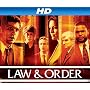 Law & Order Season 19 [HD]