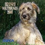 \"Irish