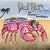 Pink Crustaceans