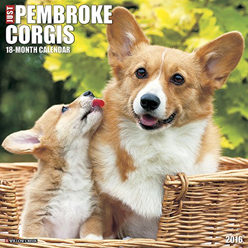 2016 Just Pembroke Corgis Wall Calendar