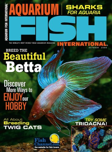 Childrens Toyshop  Magazines : Aquarium Fish International (2-year)