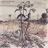 Image of album by Steven R. Smith