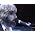 Thumbnail image of Doobie Brothers