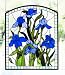 20 X 24 Iris Window Windows