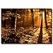 Morning Light by Philippe Sainte-Laudy, 30x47-Inch Canvas Wall Art