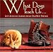 What Dogs Teach Us: Life's Lessons Learned from Our Best Friends