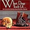 What Dogs Teach Us: Life's Lessons Learned from Our Best Friends
