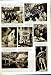 1949 HUSNI ZAIM ELLWOOD SYRIA BARTHOLOMEW PALOMAR