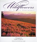 Wildflowers of the Pacific Northwest
