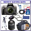 Sony Alpha A380Y 14.2 MP Digital SLR Camera w/ 18-55mm and 55-200mm Lenses (DSLR-A380Y) + 3-Year Extended Warranty + Transcend 16GB SDHC + .48x Wide Angle Panoramic HD Series Fisheye w/ Marco + Willoughbys Two (2) 55mm UV Protective Starter Kit