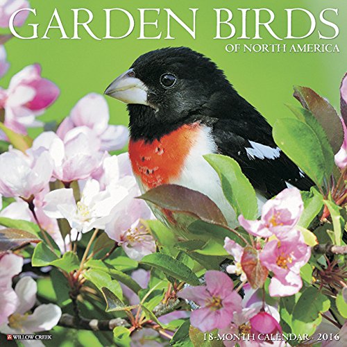 2016 Garden Birds Wall Calendar