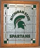 Michigan State University Spartans NCAA 15.5 X 18 Glass Wall Plaque